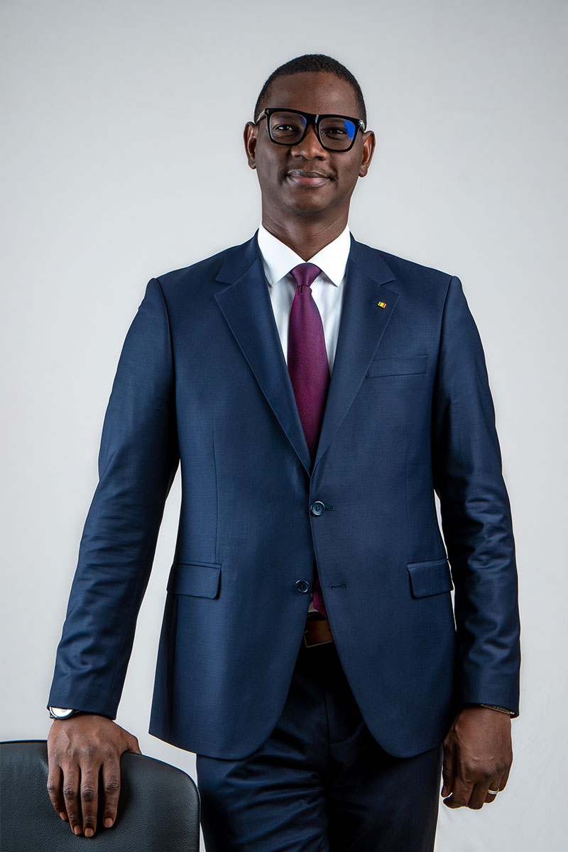 Business Portrait API Mali